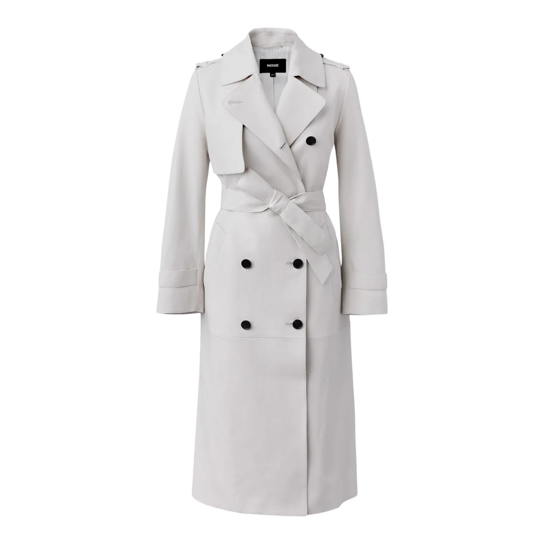 GAEL-V - Image 13