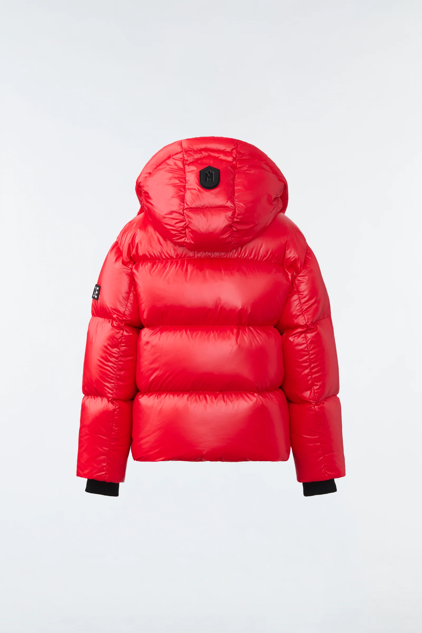 JESSE - Image 11