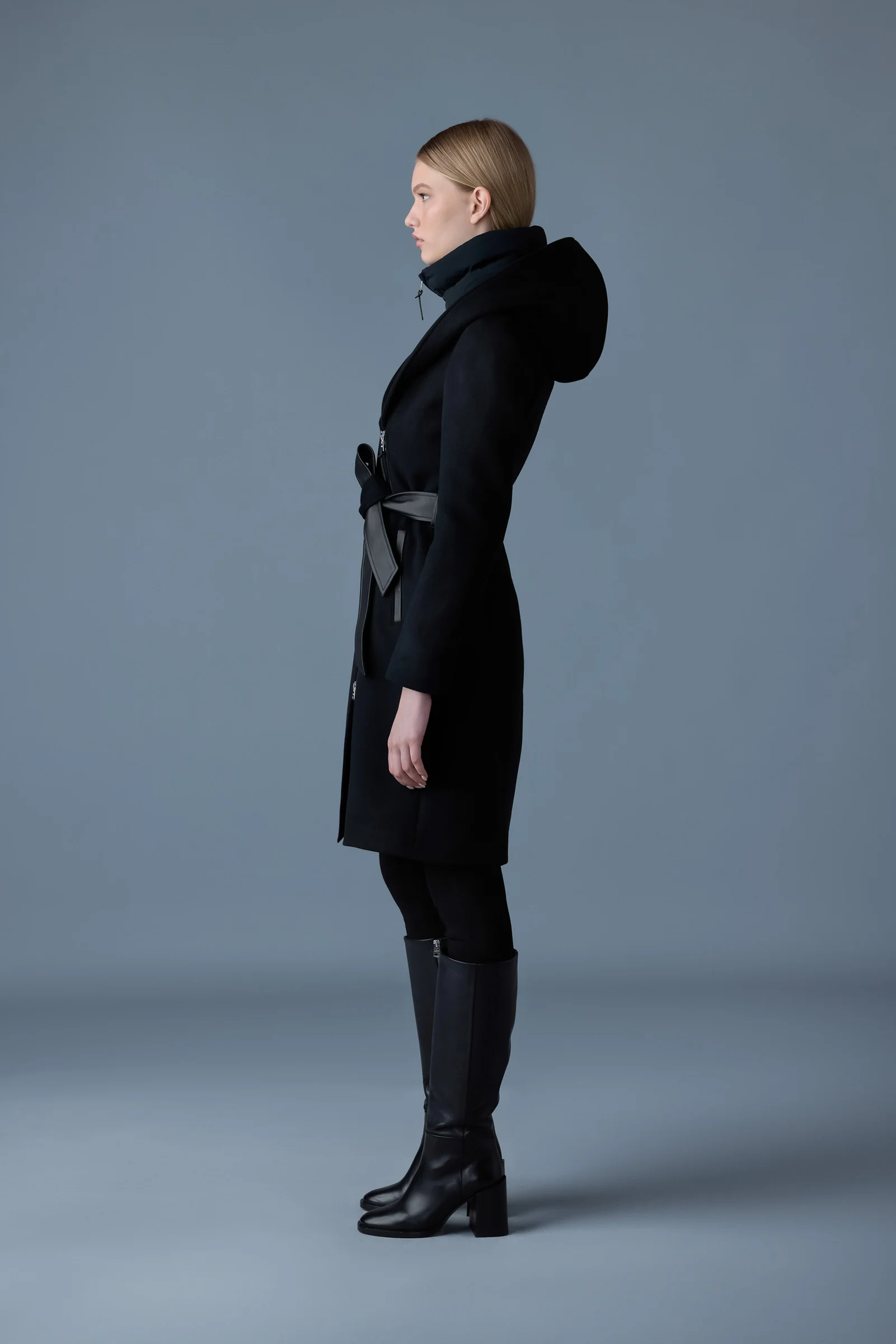 SHIA-SLB - Image 3